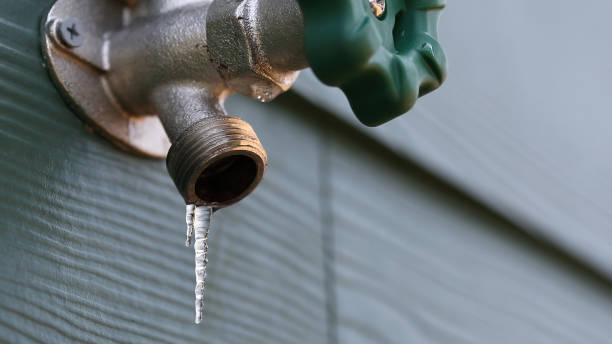 Best Leak Detection Services  in Rushville, NE
